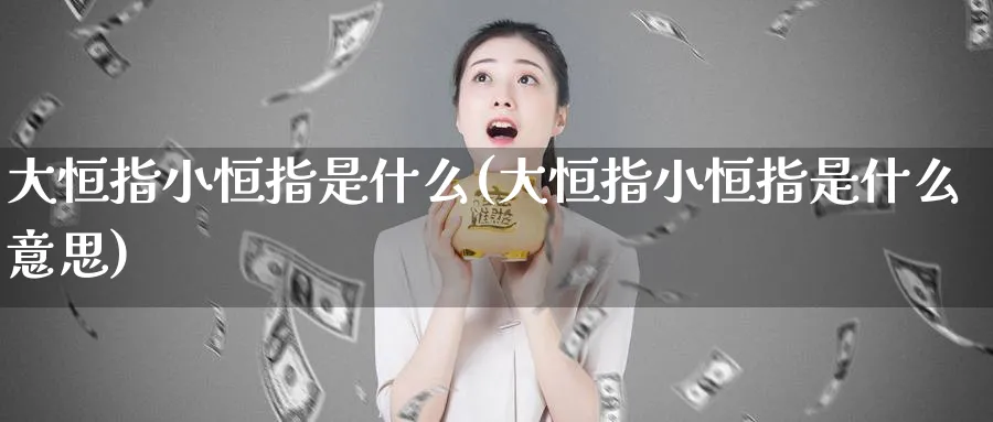 大恒指小恒指是什么(大恒指小恒指是什么意思)_https://qh.ynbygsw.com_期货喊单_第1张