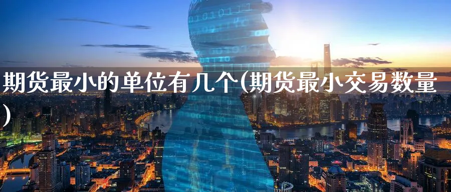 期货最小的单位有几个(期货最小交易数量)_https://qh.ynbygsw.com_期货直播_第1张