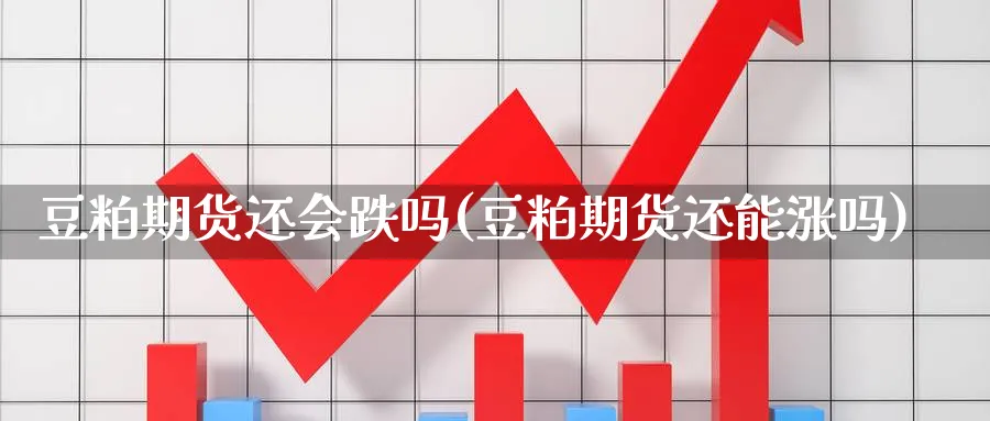 豆粕期货还会跌吗(豆粕期货还能涨吗)_国际期货_第1张_青花期货直播间 豆粕期货还会跌吗(豆粕期货还能涨吗)_https://qh.ynbygsw.com_国际期货_第1张