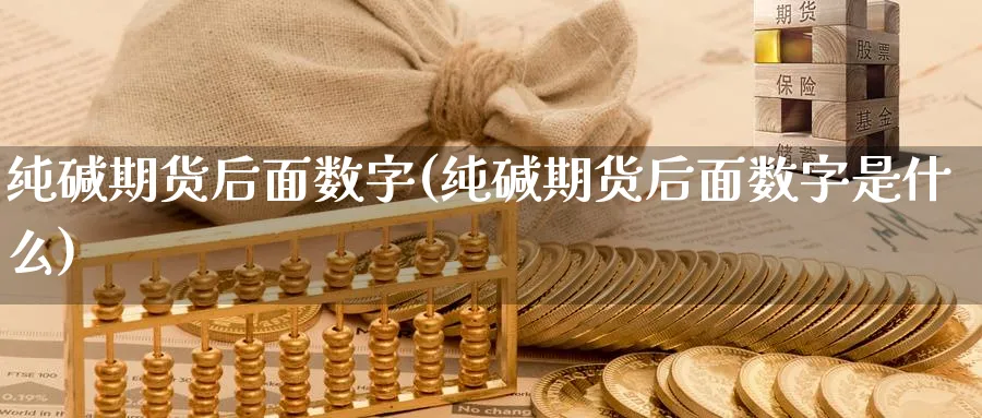 纯碱期货后面数字(纯碱期货后面数字是什么)_期货喊单_第1张_青花期货直播间 纯碱期货后面数字(纯碱期货后面数字是什么)_https://qh.ynbygsw.com_期货喊单_第1张