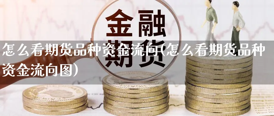 怎么看期货品种资金流向(怎么看期货品种资金流向图)_https://qh.ynbygsw.com_期货直播_第1张