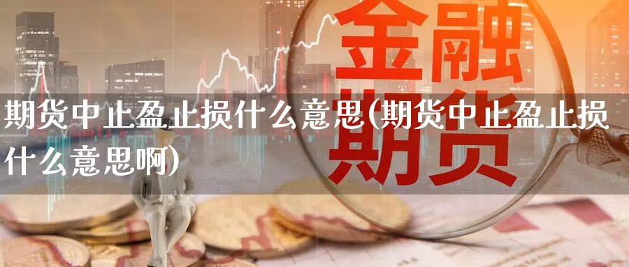 期货中止盈止损什么意思(期货中止盈止损什么意思啊)_https://qh.ynbygsw.com_财金知识_第1张