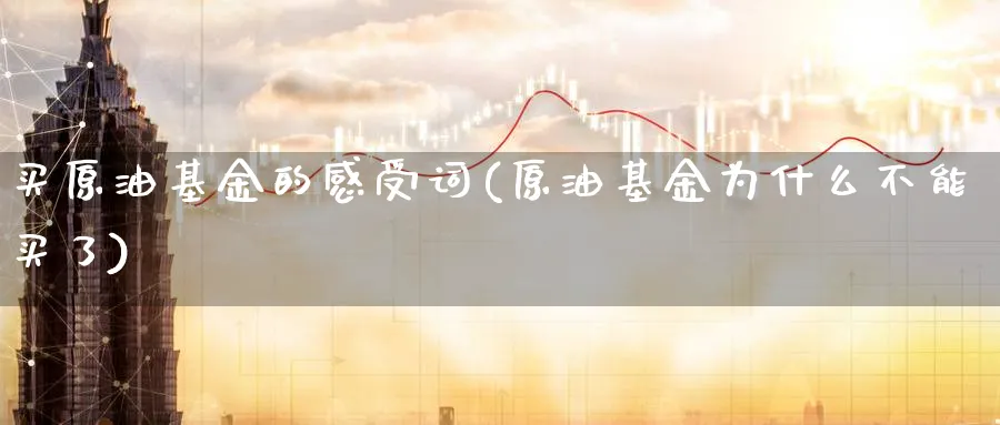 买原油基金的感受词(原油基金为什么不能买了)_财金百科_第1张_青花期货直播间 买原油基金的感受词(原油基金为什么不能买了)_https://qh.ynbygsw.com_财金百科_第1张