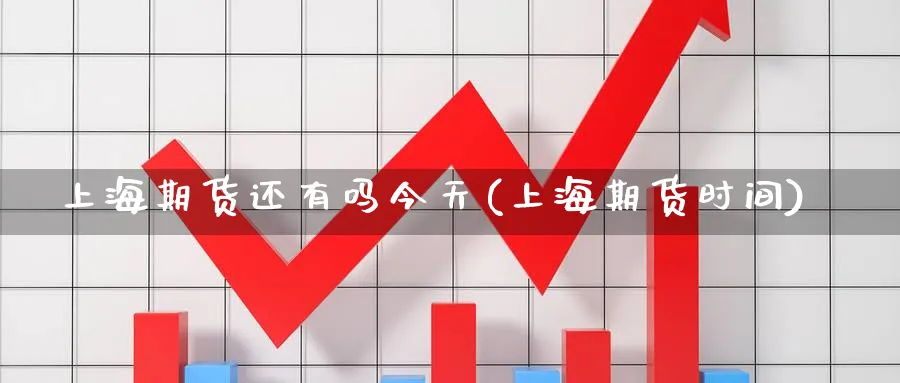 上海期货还有吗今天(上海期货时间)_国际期货_第1张_青花期货直播间 上海期货还有吗今天(上海期货时间)_https://qh.ynbygsw.com_国际期货_第1张