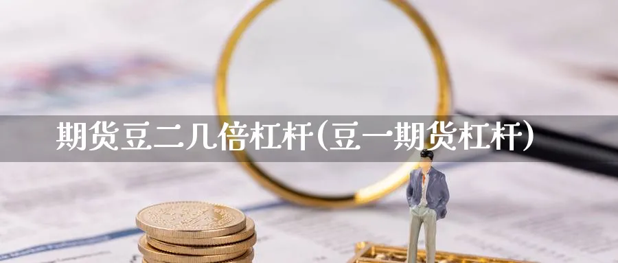期货豆二几倍杠杆(豆一期货杠杆)_https://qh.ynbygsw.com_财金百科_第1张