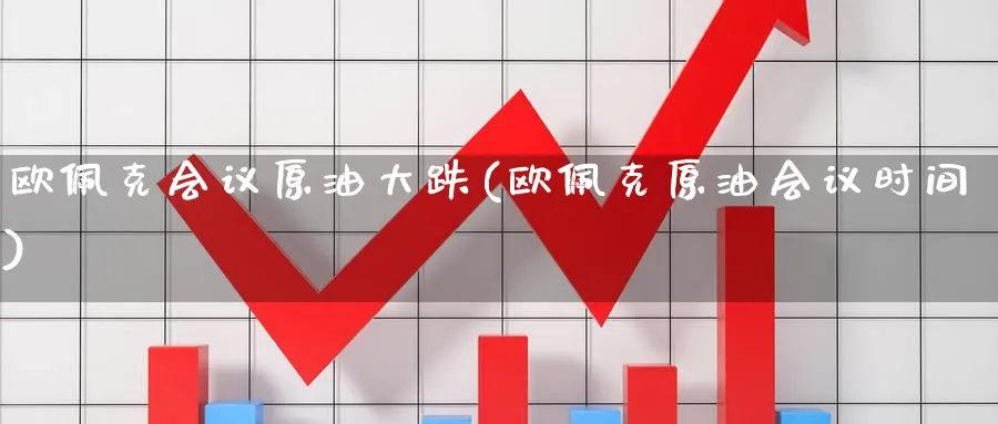 欧佩克会议原油大跌(欧佩克原油会议时间)_财金百科_第1张_青花期货直播间 欧佩克会议原油大跌(欧佩克原油会议时间)_https://qh.ynbygsw.com_财金百科_第1张