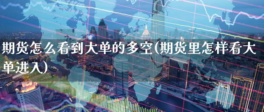 期货怎么看到大单的多空(期货里怎样看大单进入)_https://qh.ynbygsw.com_期货喊单_第1张