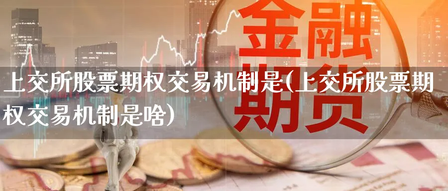 上交所股票期权交易机制是(上交所股票期权交易机制是啥)_https://qh.ynbygsw.com_期货喊单_第1张