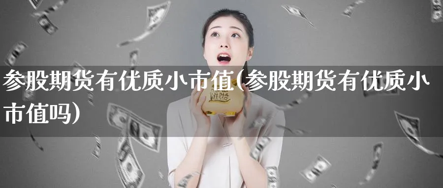 参股期货有优质小市值(参股期货有优质小市值吗)_期货喊单_第1张_青花期货直播间 参股期货有优质小市值(参股期货有优质小市值吗)_https://qh.ynbygsw.com_期货喊单_第1张