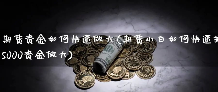 期货资金如何快速做大(期货小白如何快速把5000资金做大)_财金百科_第1张_青花期货直播间 期货资金如何快速做大(期货小白如何快速把5000资金做大)_https://qh.ynbygsw.com_财金百科_第1张