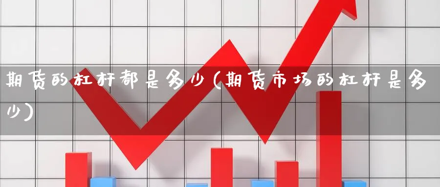 期货的杠杆都是多少(期货市场的杠杆是多少)_https://qh.ynbygsw.com_财金知识_第1张