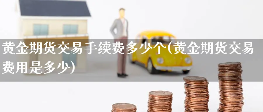 黄金期货交易手续费多少个(黄金期货交易费用是多少)_期货交易_第1张_青花期货直播间 黄金期货交易手续费多少个(黄金期货交易费用是多少)_https://qh.ynbygsw.com_期货交易_第1张