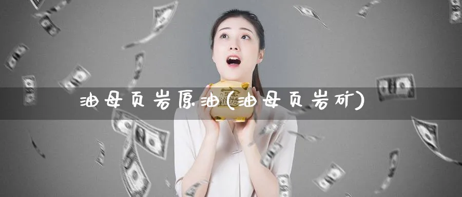 油母页岩原油(油母页岩矿)_期货直播_第1张_青花期货直播间 油母页岩原油(油母页岩矿)_https://qh.ynbygsw.com_期货直播_第1张