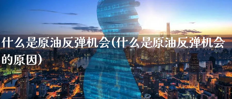 什么是原油反弹机会(什么是原油反弹机会的原因)_财金百科_第1张_青花期货直播间 什么是原油反弹机会(什么是原油反弹机会的原因)_https://qh.ynbygsw.com_财金百科_第1张
