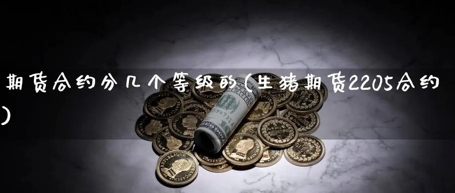 期货合约分几个等级的(生猪期货2205合约)_国际期货_第1张_青花期货直播间 期货合约分几个等级的(生猪期货2205合约)_https://qh.ynbygsw.com_国际期货_第1张