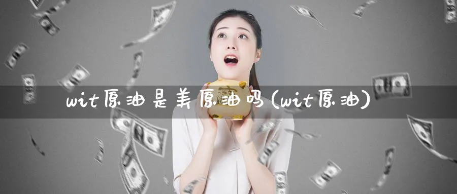wit原油是美原油吗(wit原油)_https://qh.ynbygsw.com_财金百科_第1张