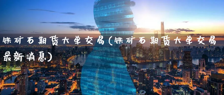 铁矿石期货大单交易(铁矿石期货大单交易最新消息)_https://qh.ynbygsw.com_期货喊单_第1张