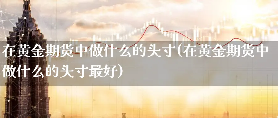 在黄金期货中做什么的头寸(在黄金期货中做什么的头寸最好)_https://qh.ynbygsw.com_期货喊单_第1张